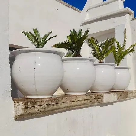 Dimore Arcudi * Galatina